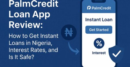 PalmCredit Loan App Review